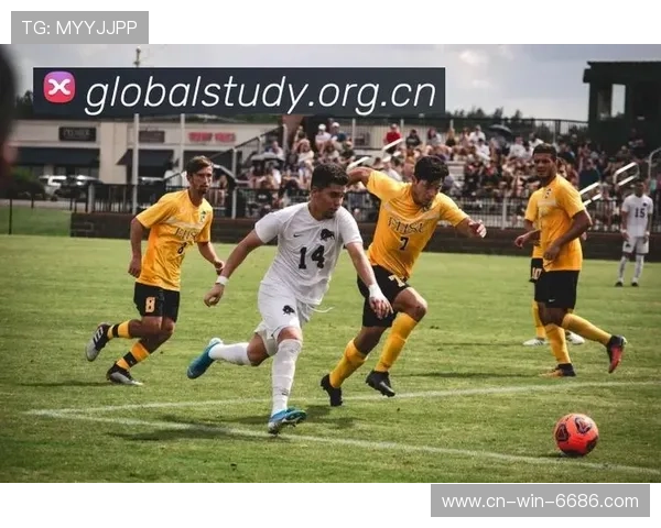 ✅体育直播🏆世界杯直播🏀NBA直播⚽- 10月22日“农产品批发价格200指数”比前一天下降0.35个点- sports